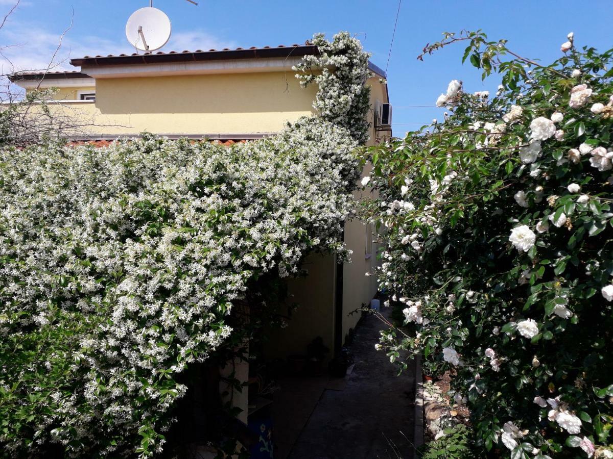 Apartment Samanta Šišan Exterior foto